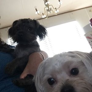 Meet your Posher, Rosa